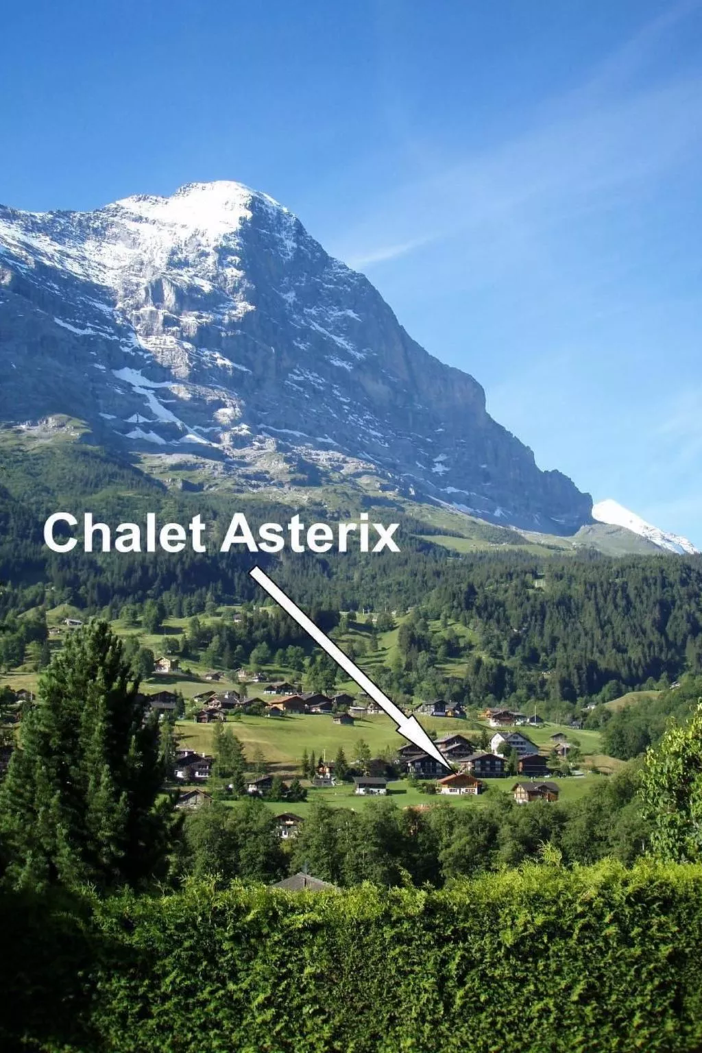 Asterix 2 Bett Wohnung