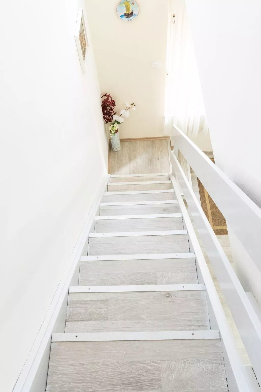 Jasnica-Image-tags.info