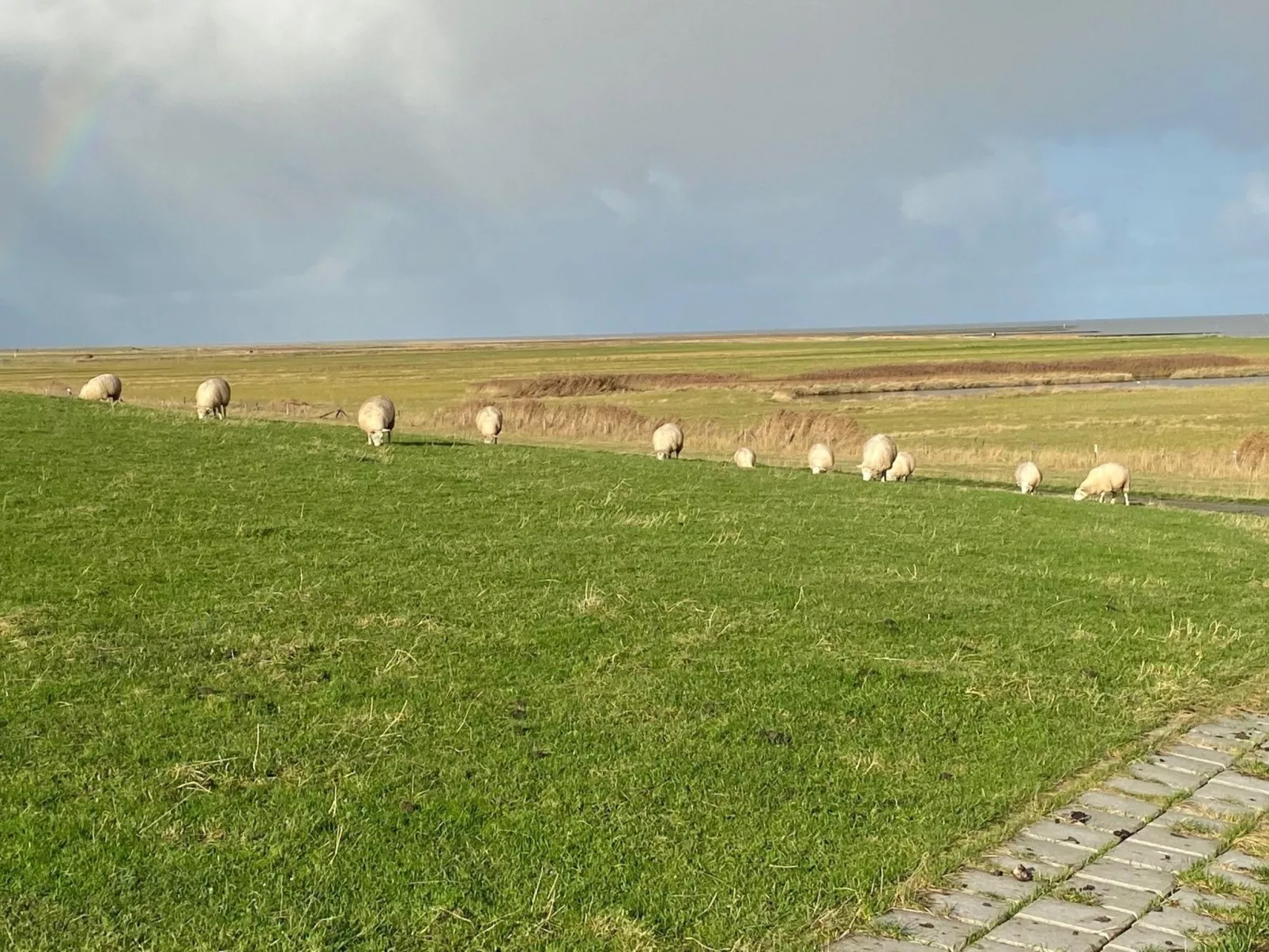 In Fedderwardersiel mit Garten-Buiten