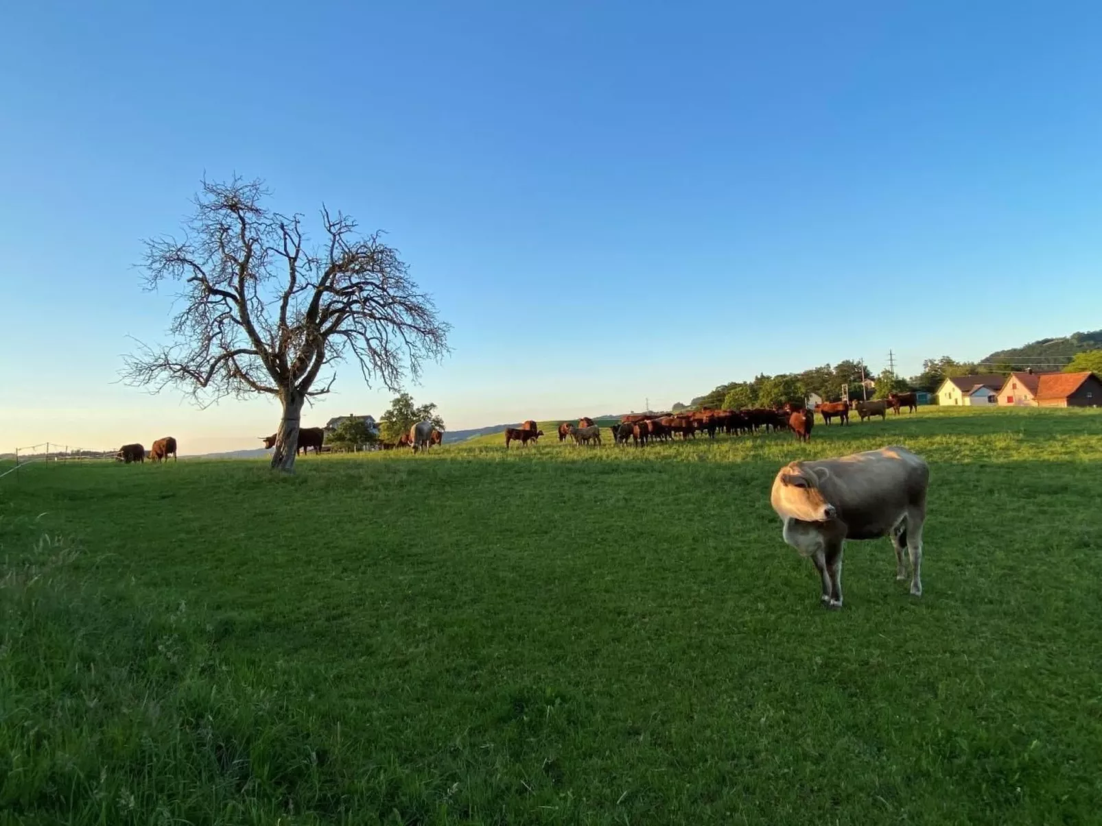 Bauernhof Sal-Image-tags.info