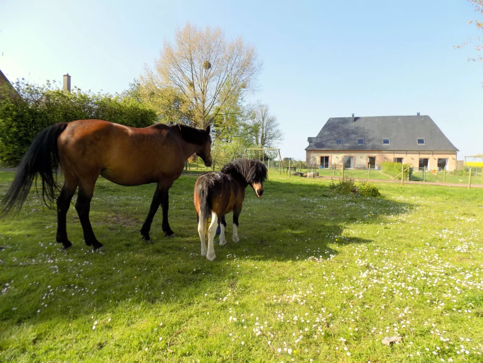 Für 8 Personen - Buiten
