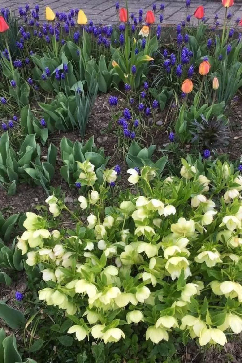 Wohnung mit Bergblick