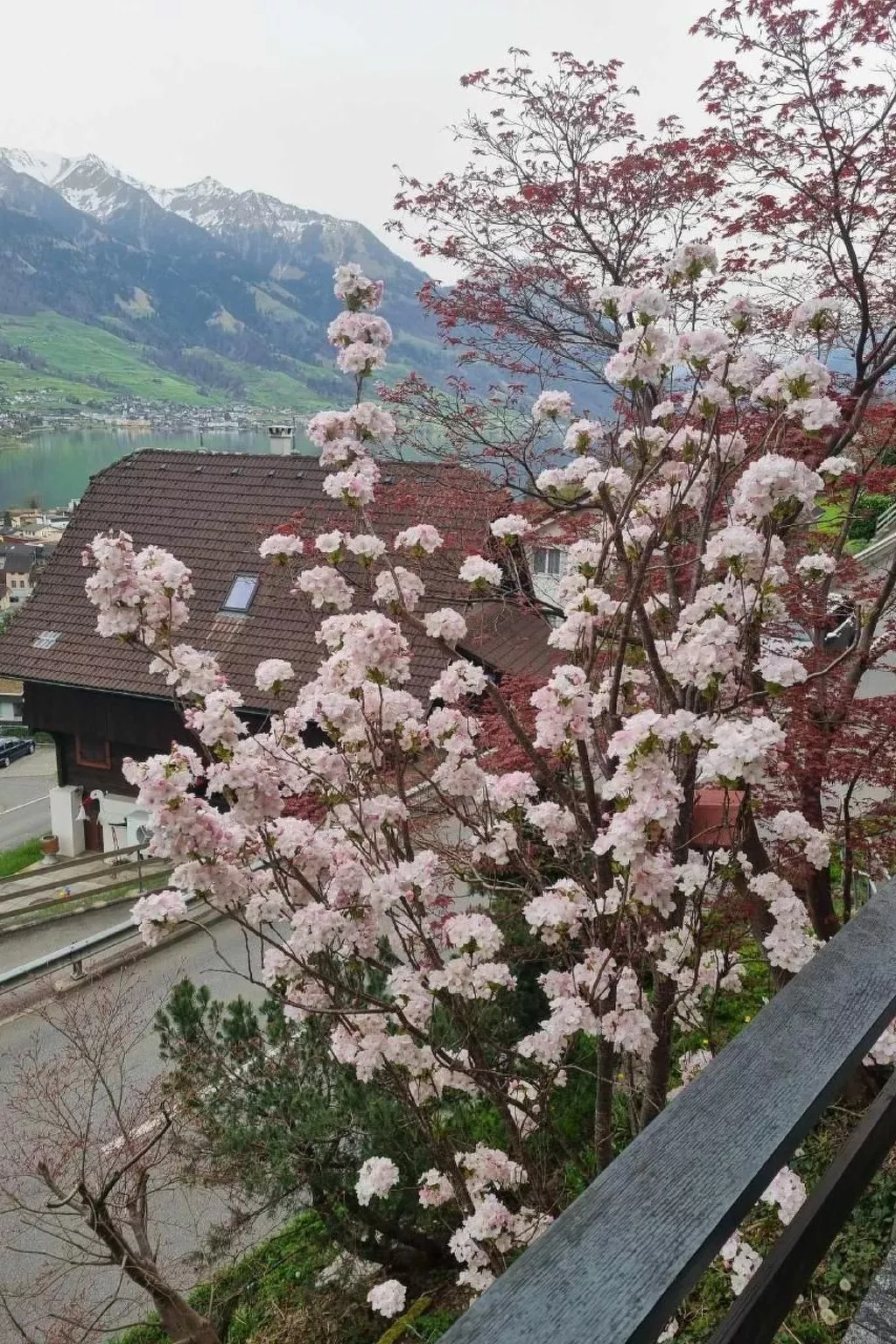 Charmantes Chalet Apartment mit Aussicht