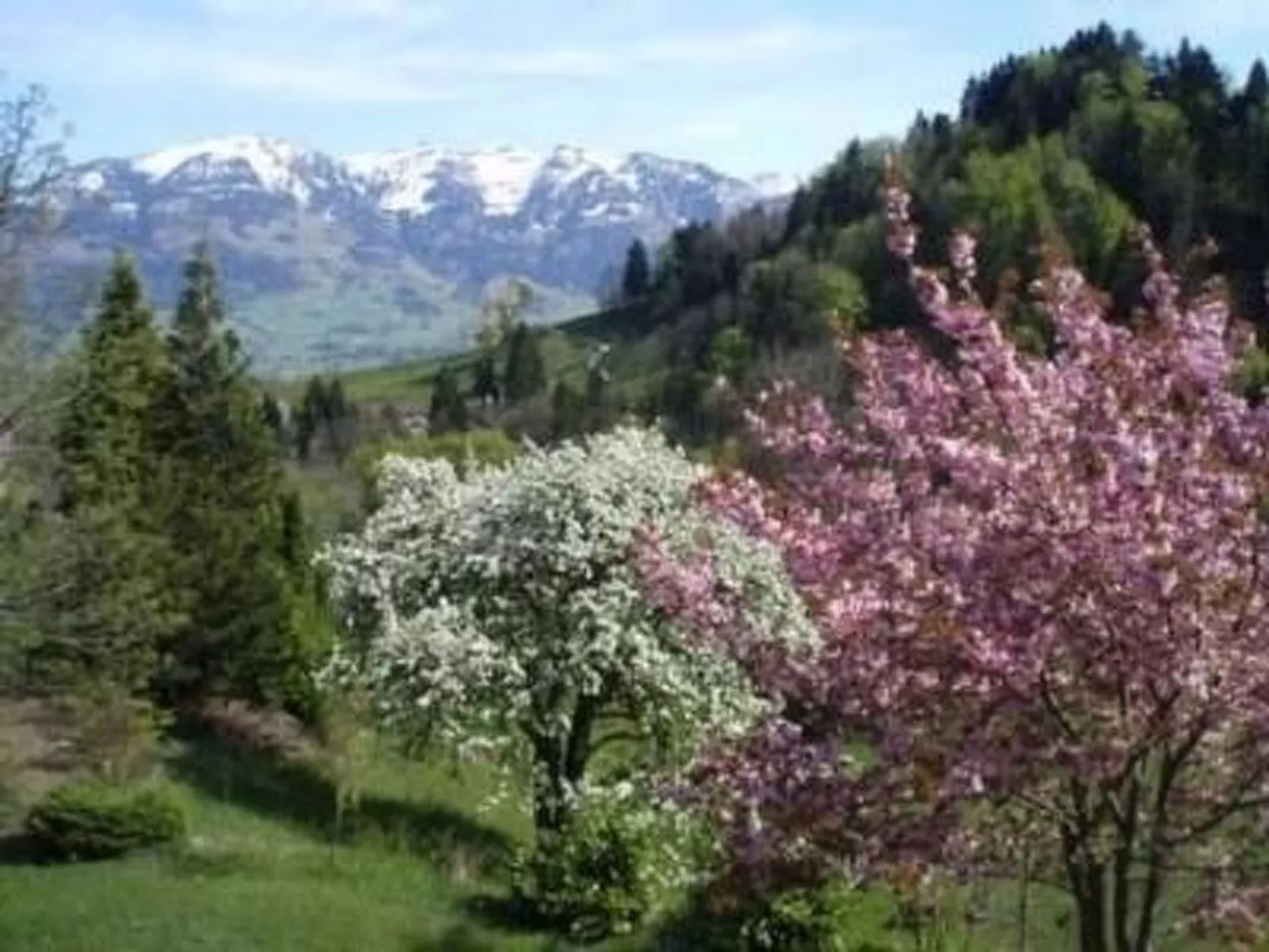 Haus Scherrer "Schön-Biel"