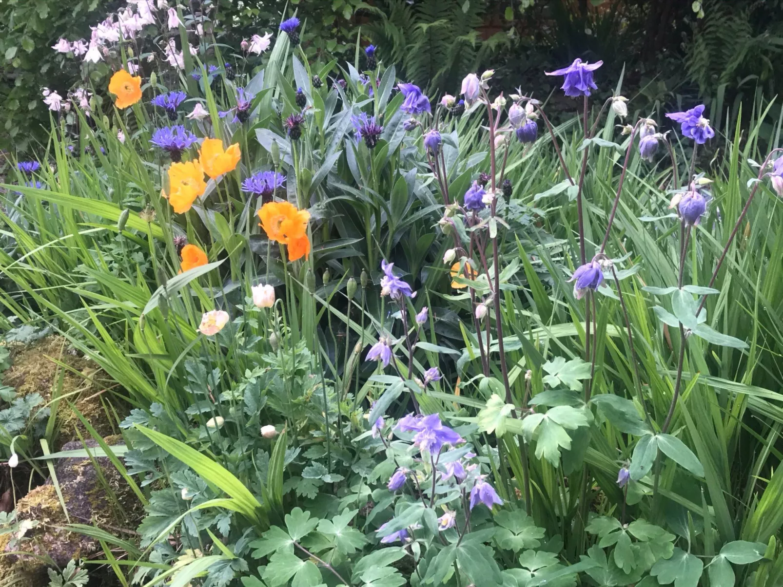 Idyllisches Landhaus Rosemary