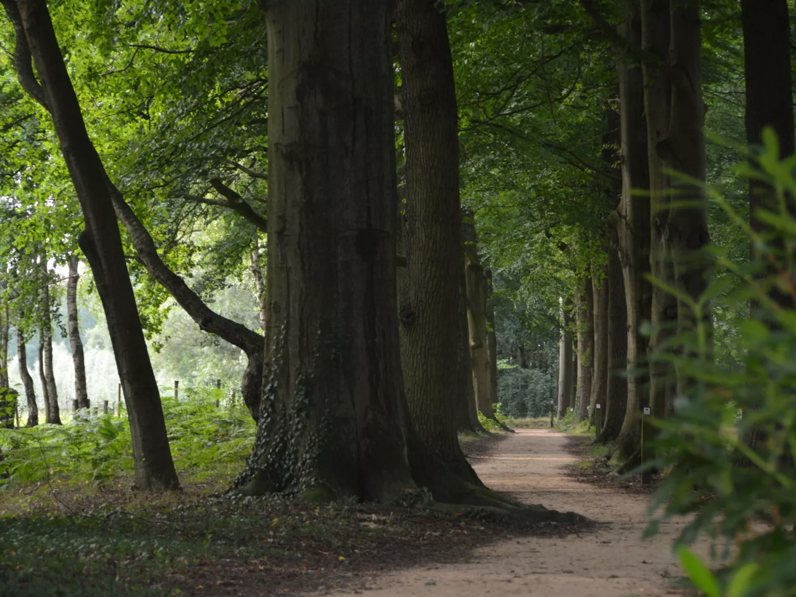 Gemütliches Haus mit eingezäuntem Garten