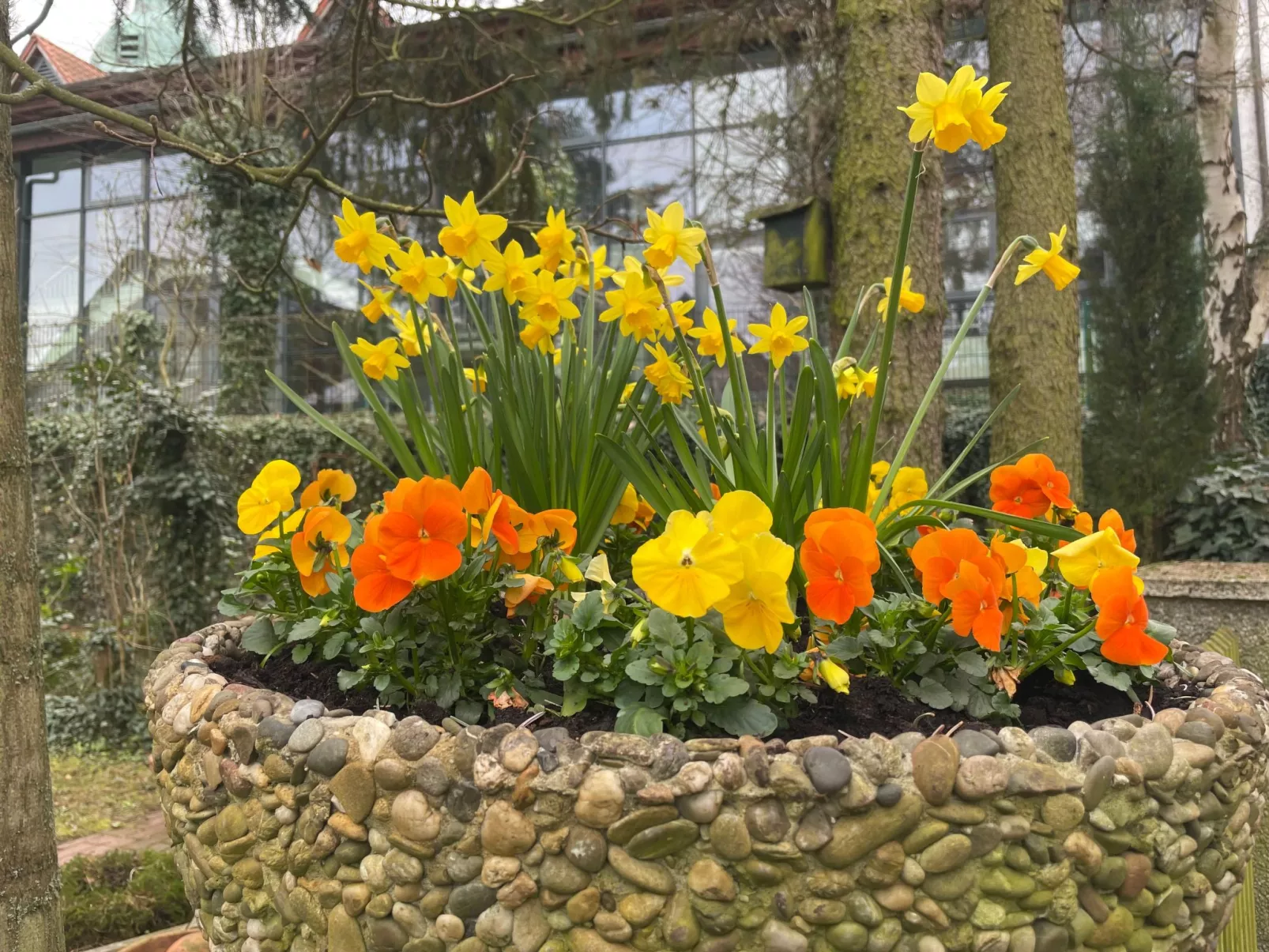 Amöneburg in Amöneburg