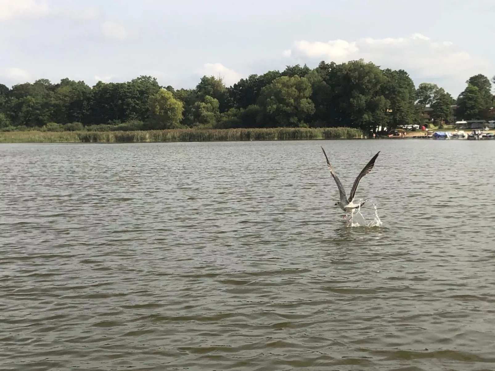 In Dahmen Terrasse und Grill