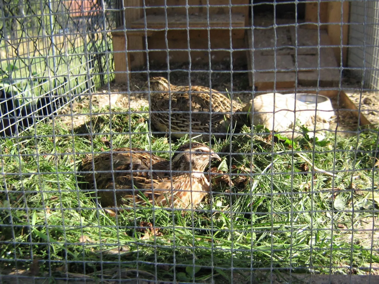 Urlaub in der Natur!-Image-tags.info