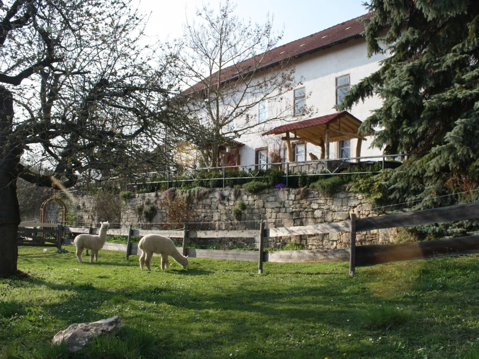 Kleine Fewo - Buiten