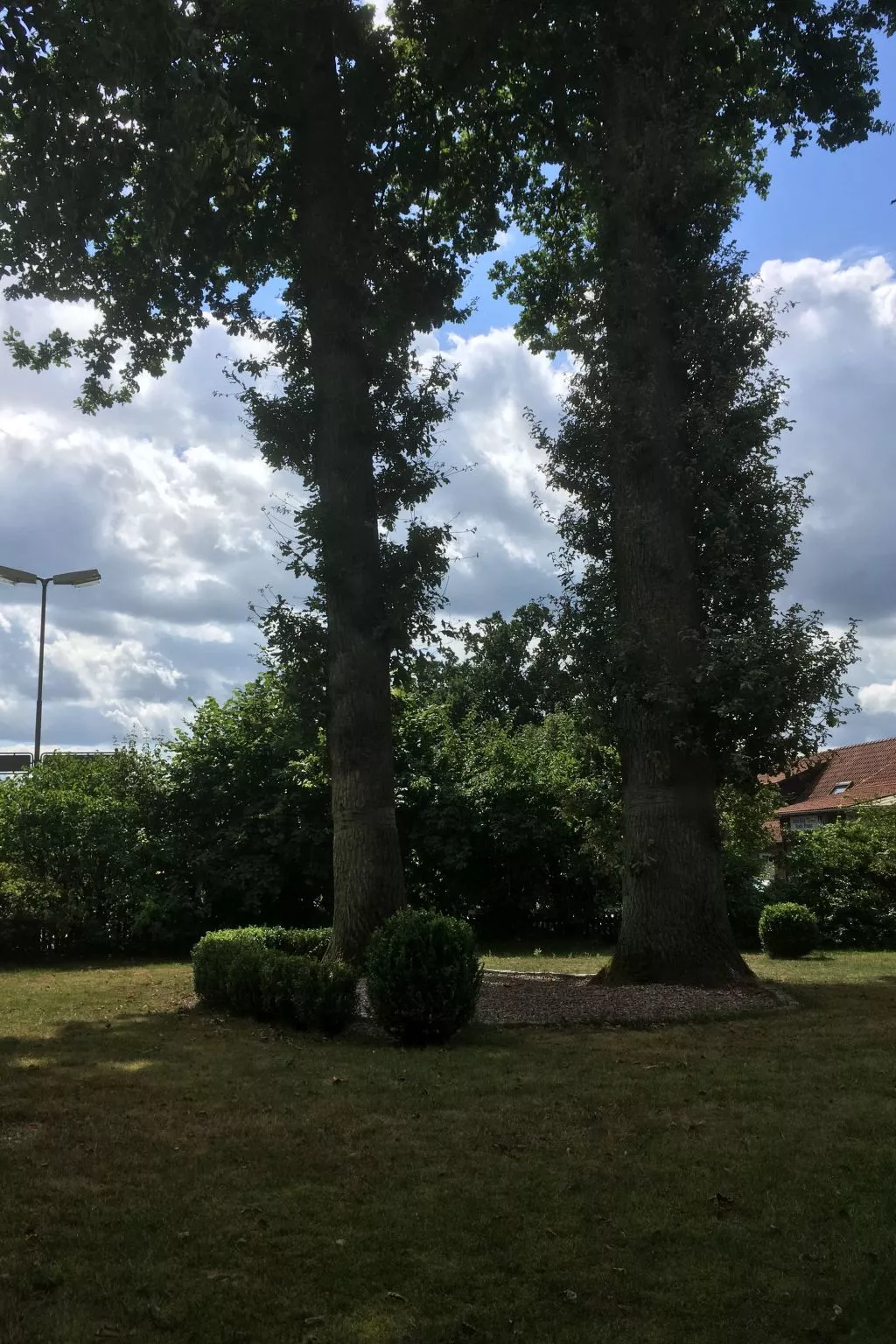 Wohnung in Tewel mit Terrasse, Garten und Grill-Buiten