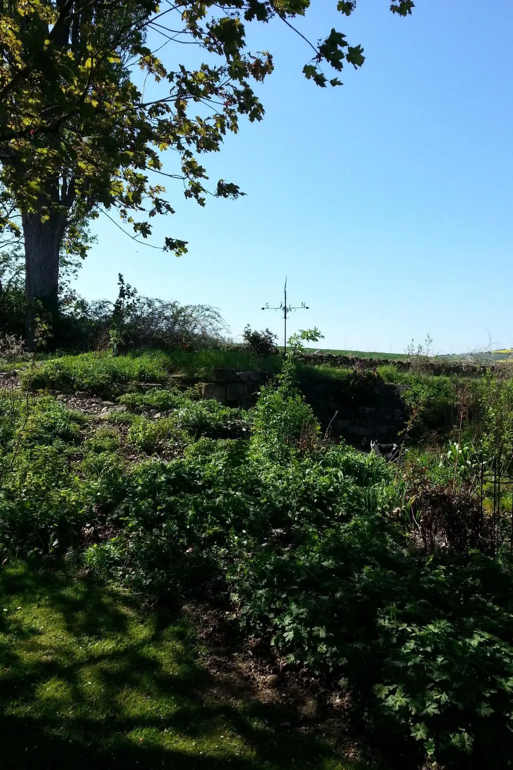 In Weenzen mit Großem Garten