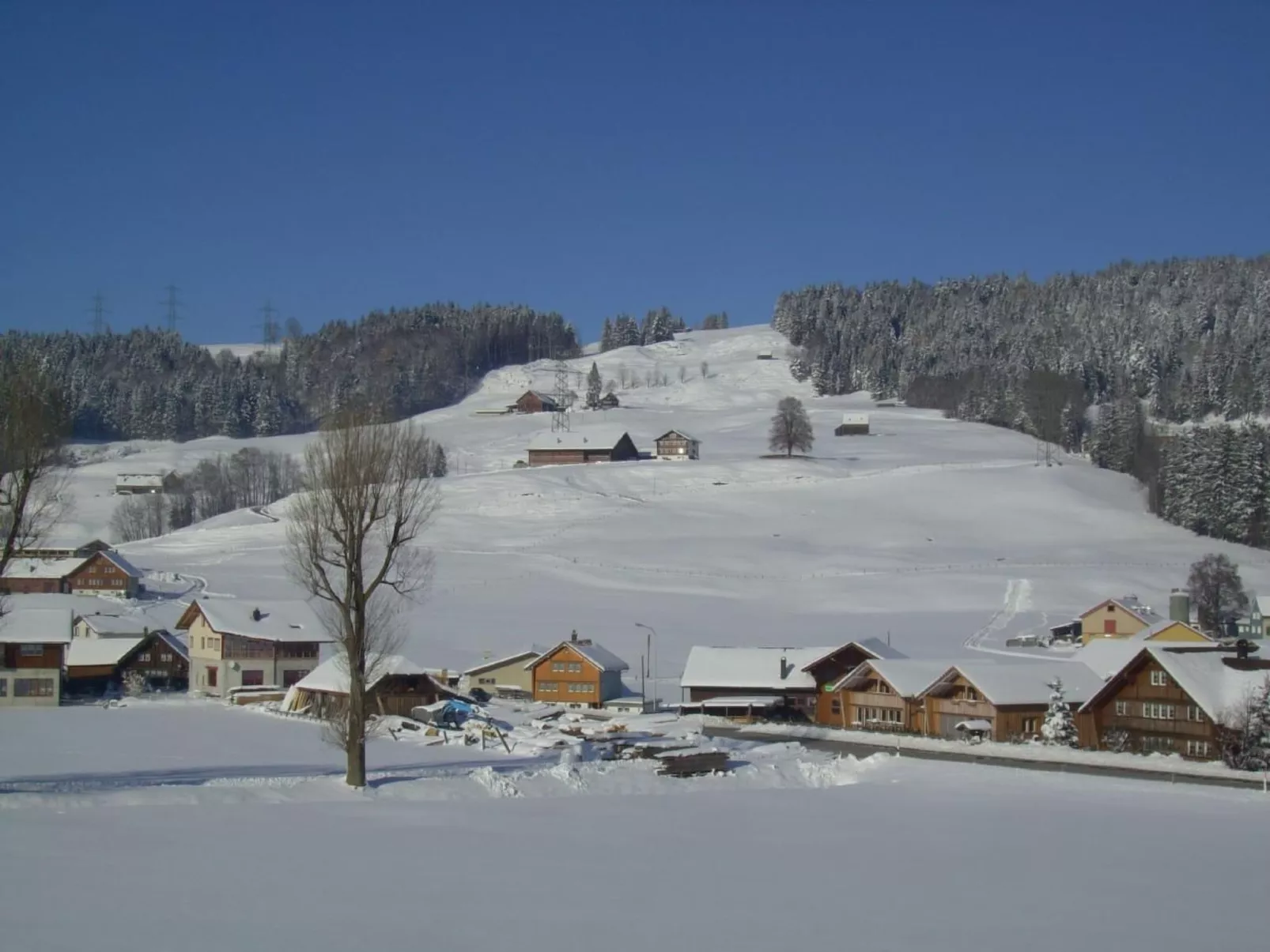 Hautle-Image-tags.info