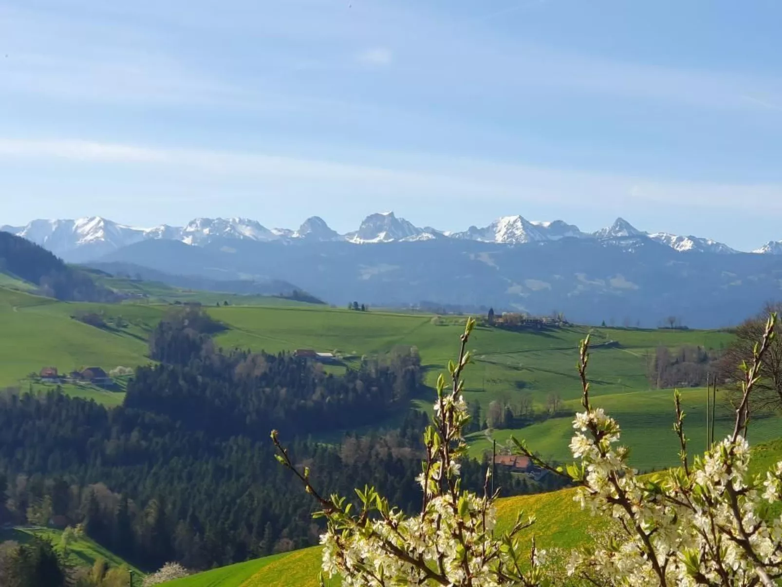In einem heimeligen Berner-Stöckli
