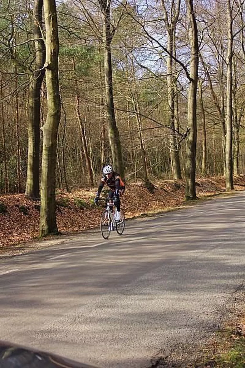 Anwesen "Oranjehorst"-Image-tags.info