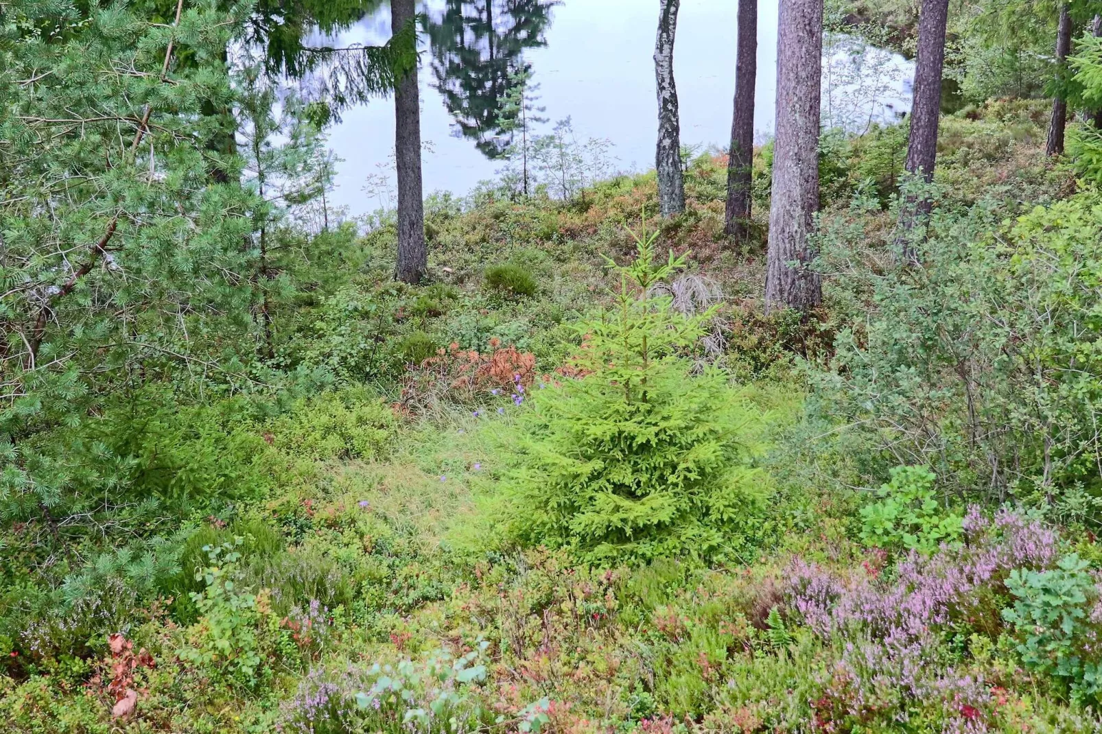 4 persoons vakantie huis in Fjärås-By Traum-Niet-getagd