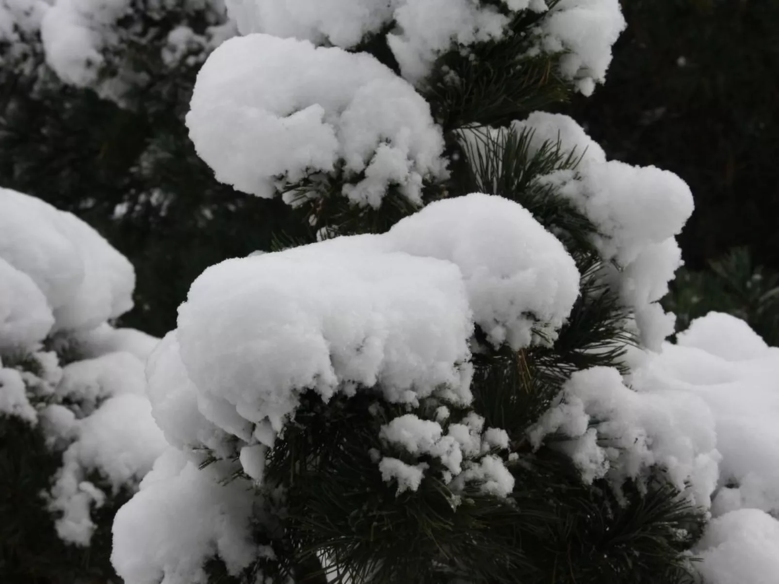 Mit Blick auf das Wasser-Buiten