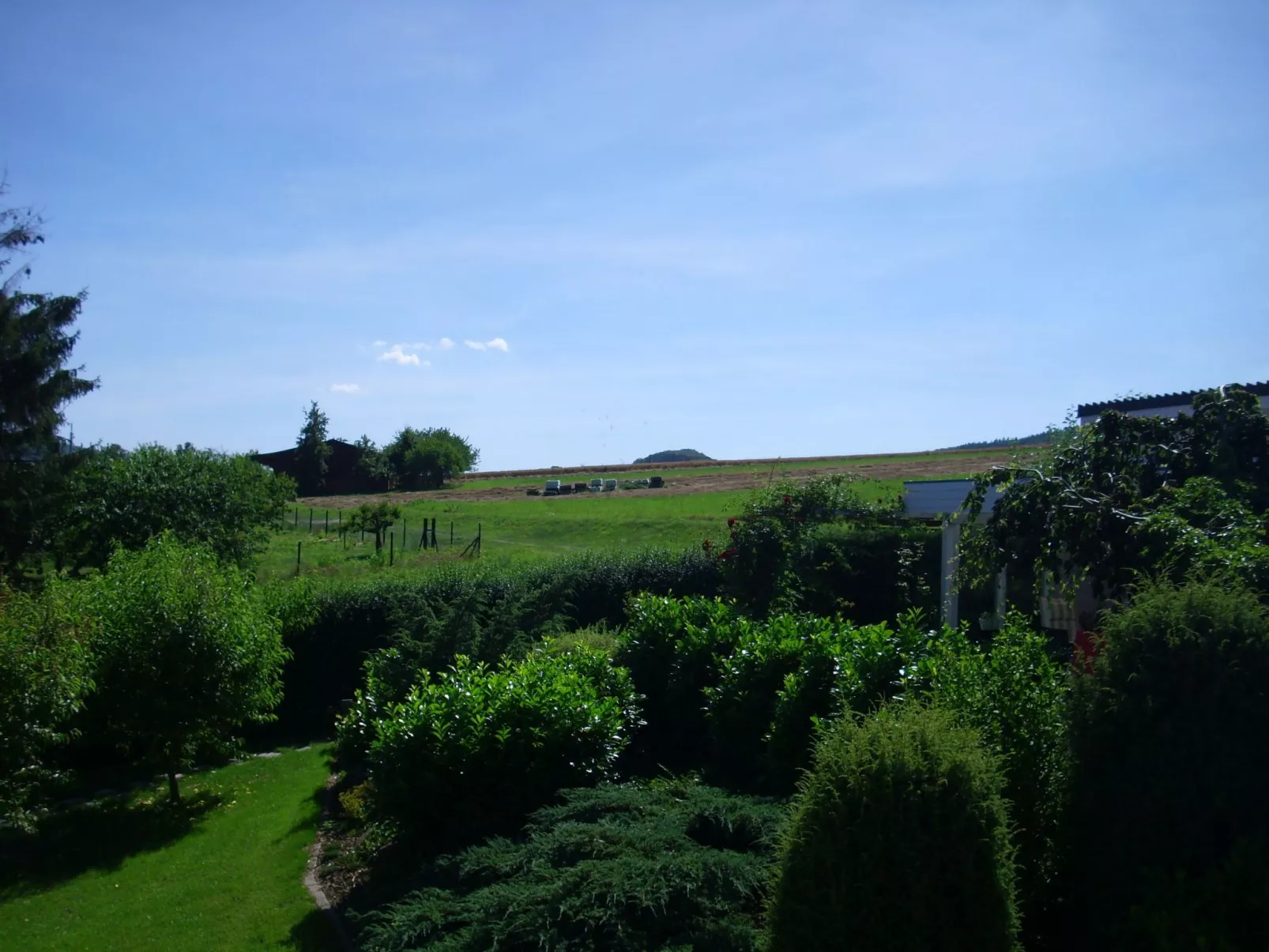 Ingrid-Image-tags.info