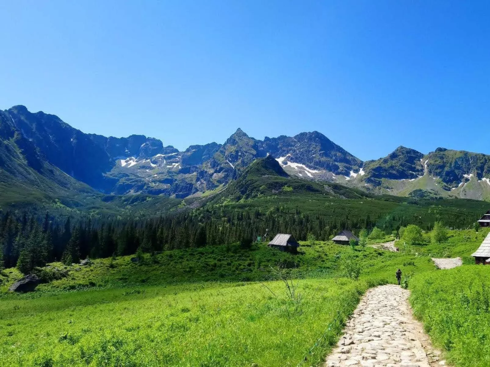 Krokus Tal Dorf unter der Tatra-Image-tags.info