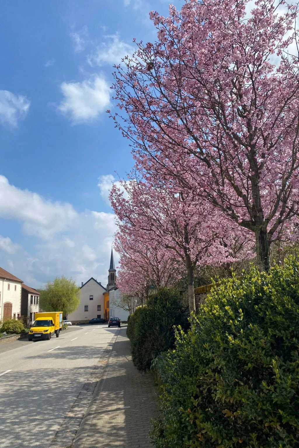 Appartement mit Balkon-Buiten