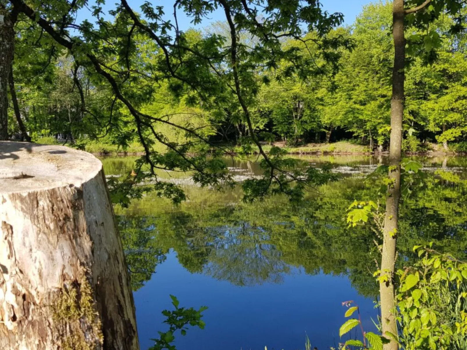 In Atzenhain mit Großer Terrasse