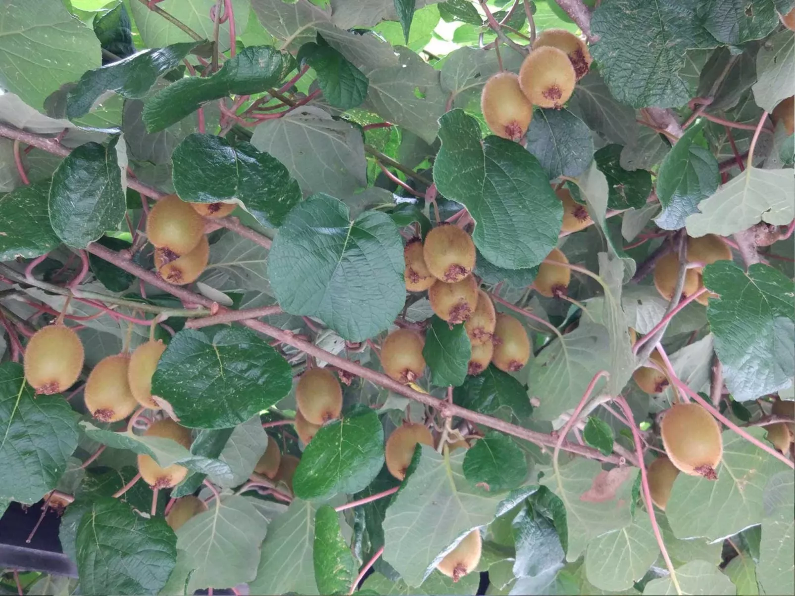 Mit eigener Sonnenterrasse