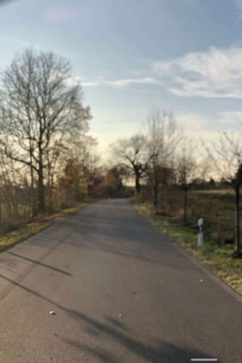 Reetdach Ferienhaus am Lübbesee Sauna Bootsteg neu