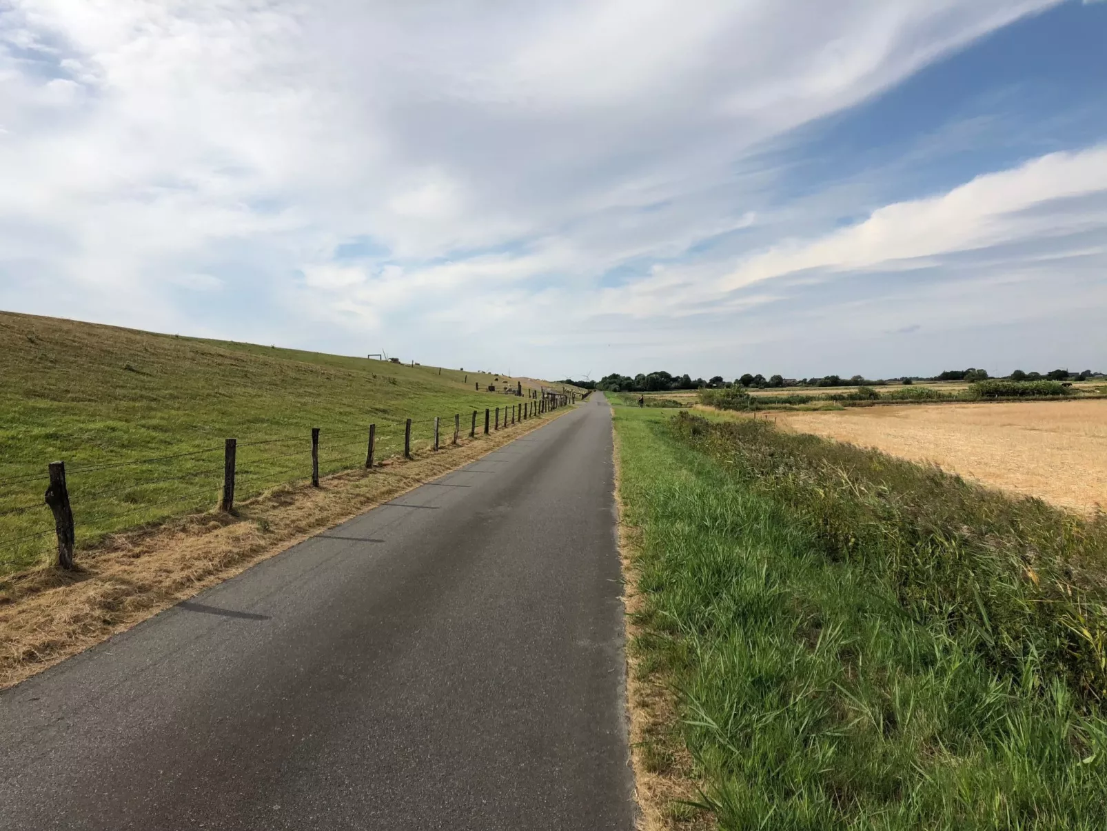 Reetdachhaus inmitten von Wiesen und Feldern