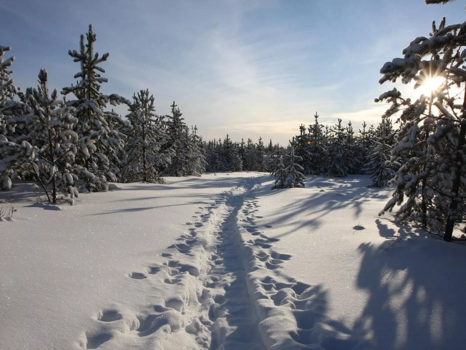 Charmantes Blockhaus, Sauna und Kamin-Buiten