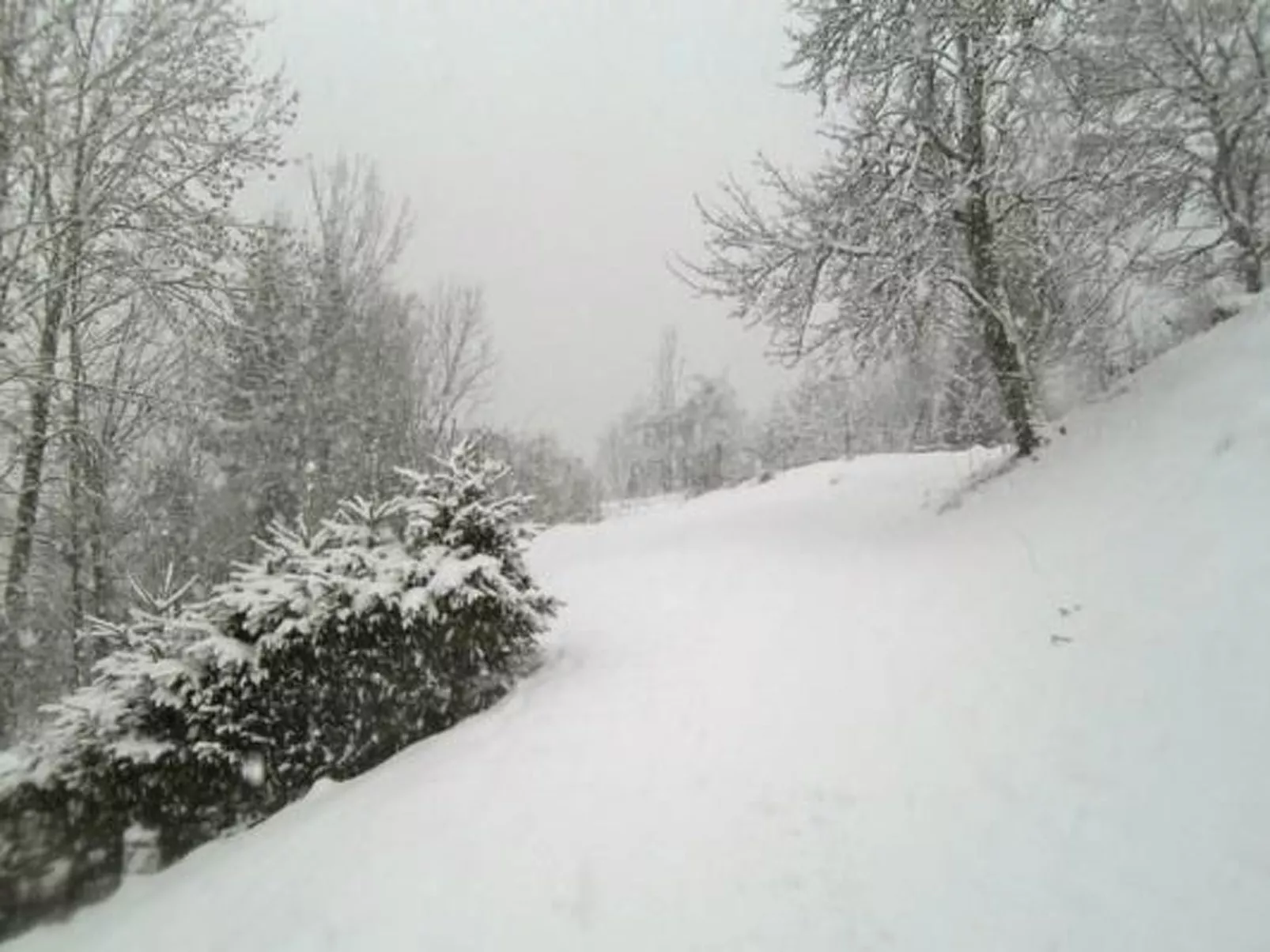 Flössersteighütte-Buiten