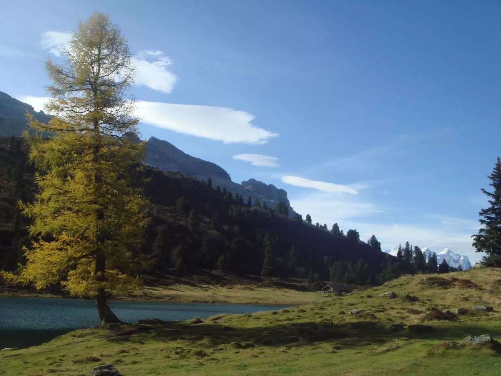 Alphütte Gental - Haslital-Buiten