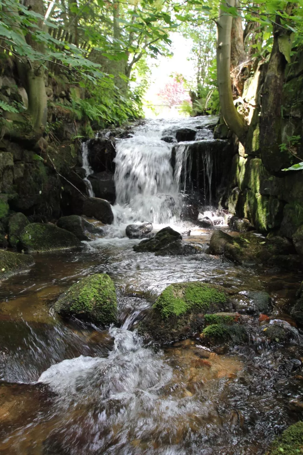Landhaus mit gemeinschaftlichem Pool-Buiten