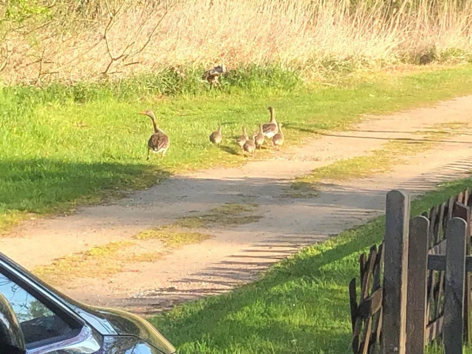 Mit Sauna und Kaminofen-Buiten