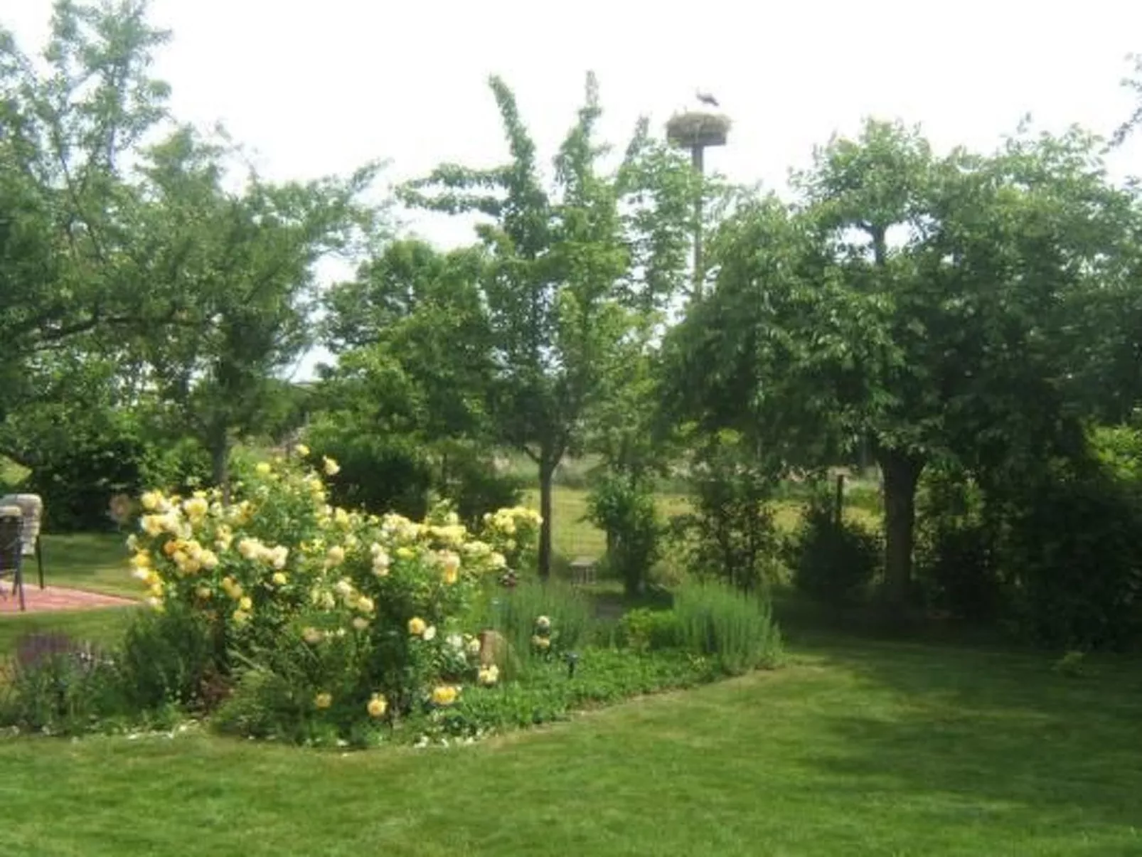 Am Wiesengrund in Venningen