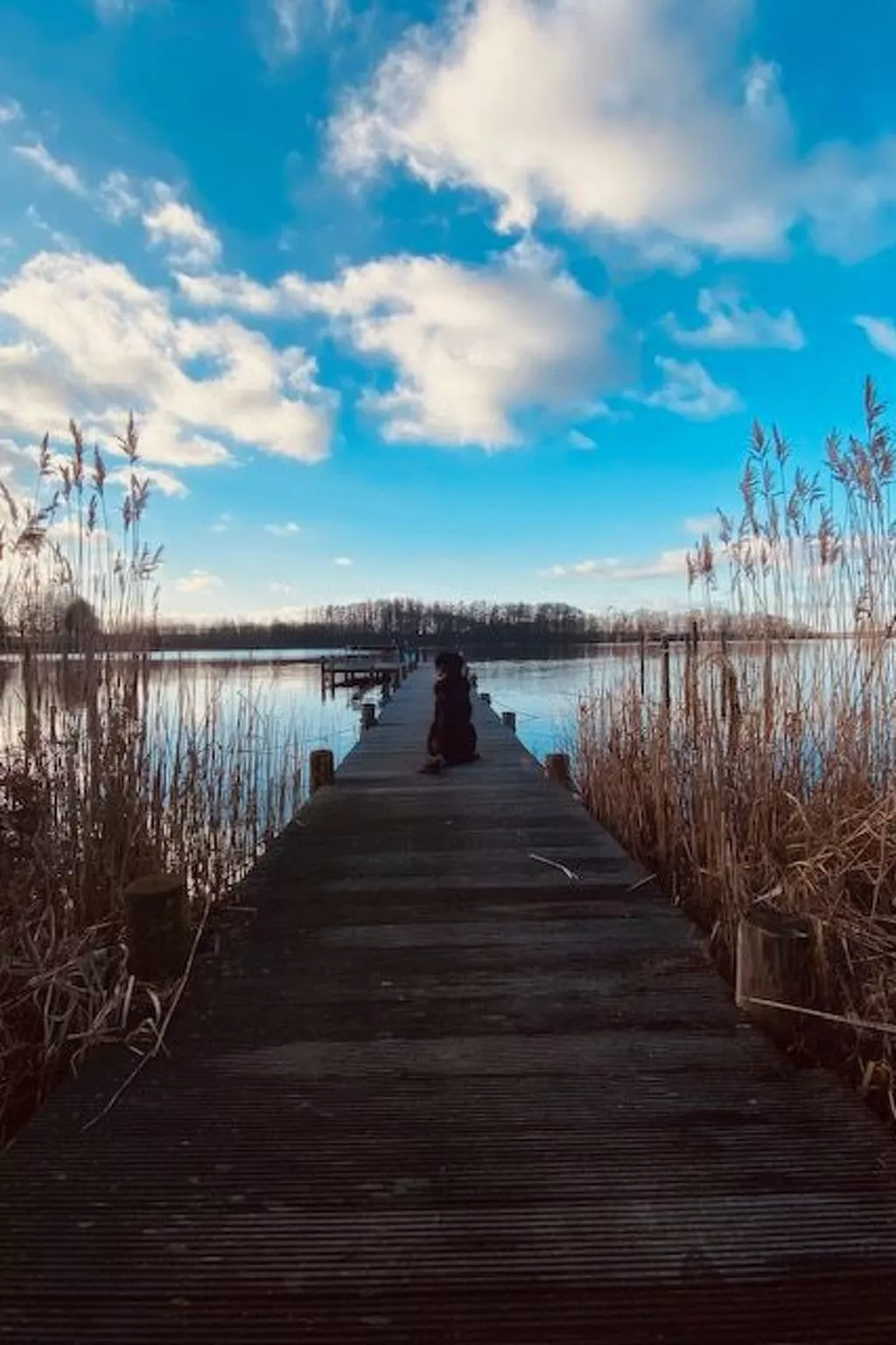Haus Schwanensee Wohnung 24
