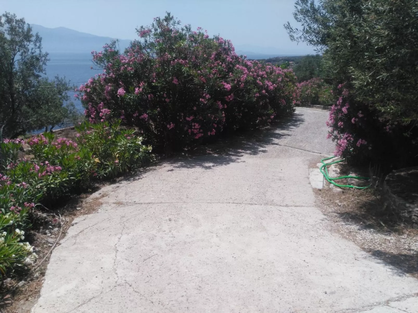 Assos Sivrice Gästehaus-Buiten