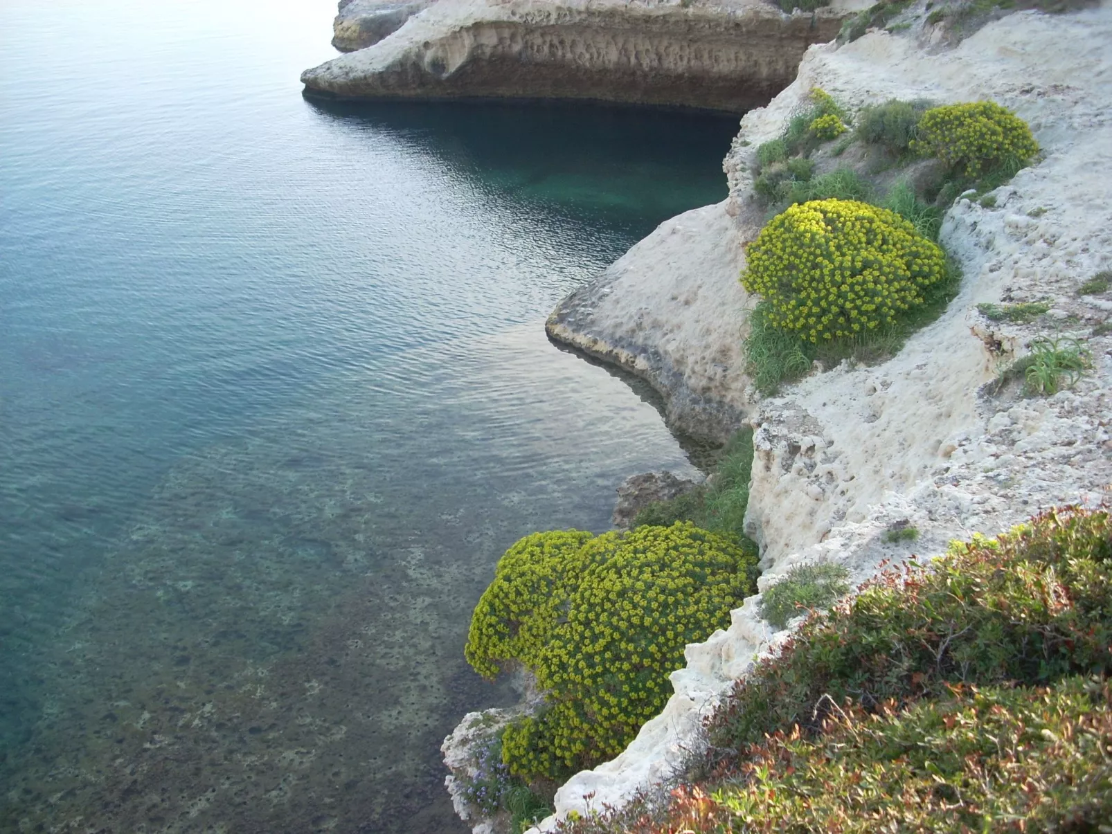 Wohnung S'archittu-Buiten