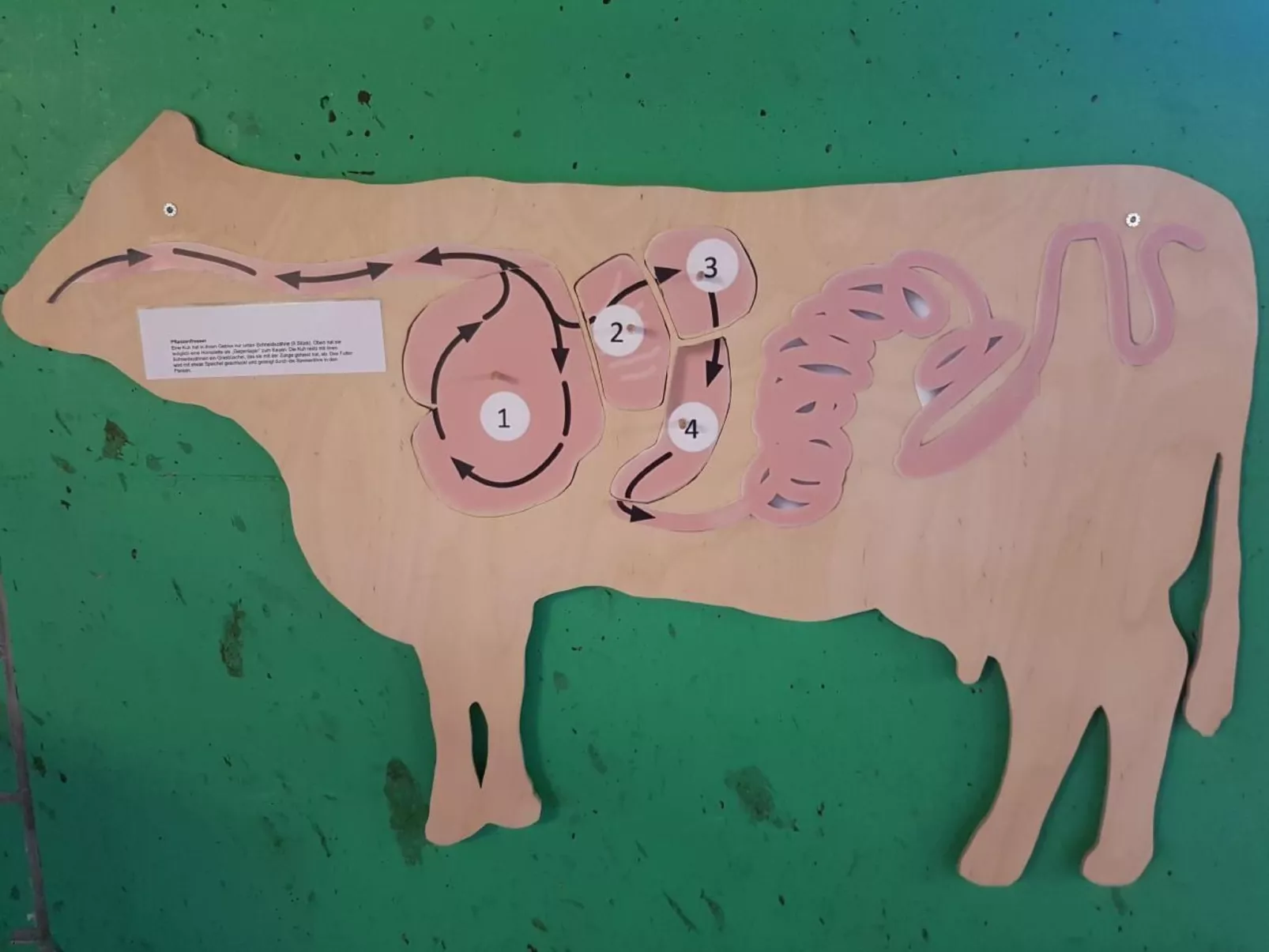 Ferien im Gugger - Wohnung Churfirsten-Image-tags.info