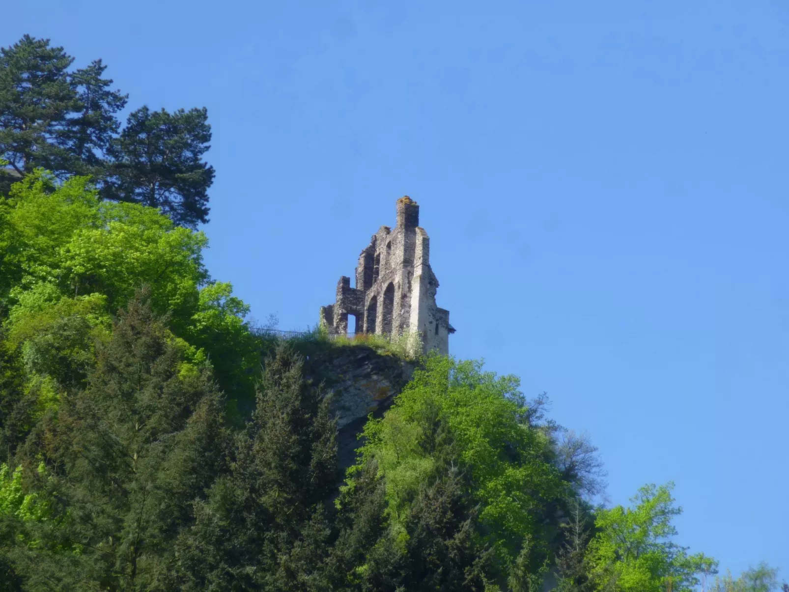 Moselschiefer-Traumferienwohnung am Moselufer