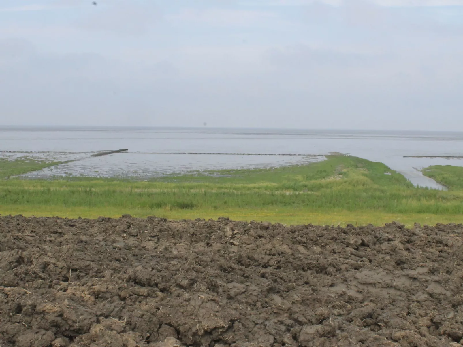 Gemütliche Wohnung in Norderschweiburg