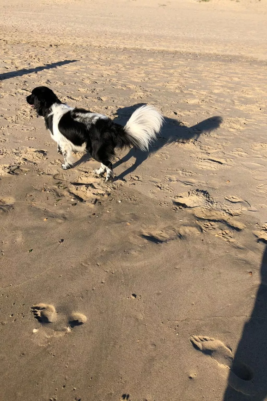 "Casa Juliana" mit privatem Garten-Image-tags.info