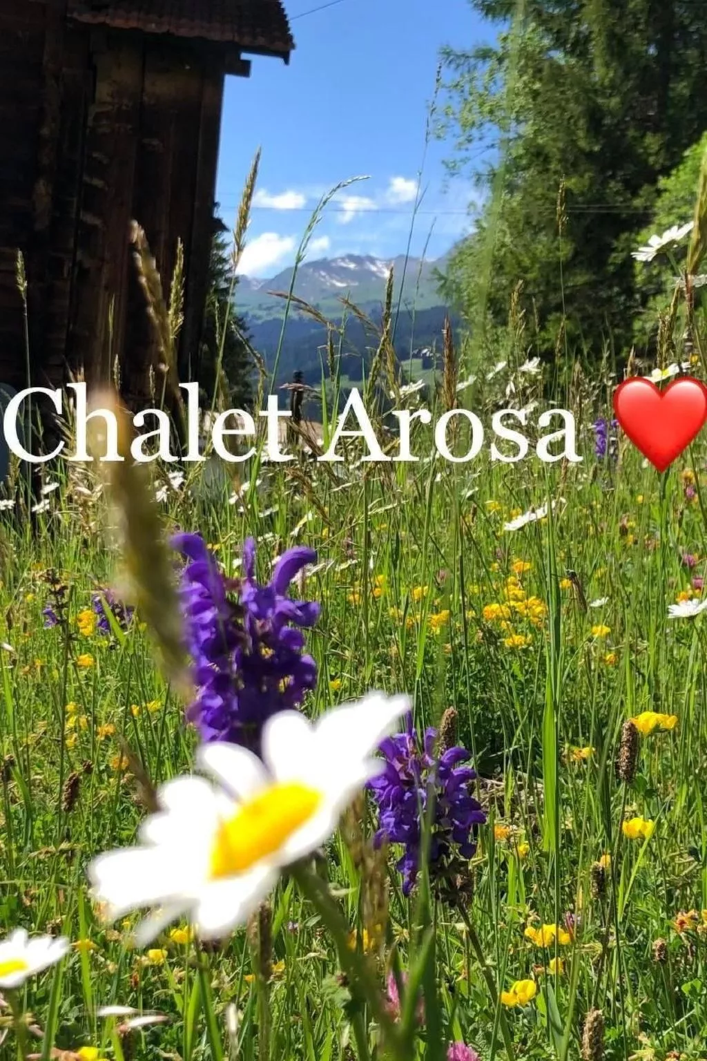 Chalet Arosa für 6 P-Buiten