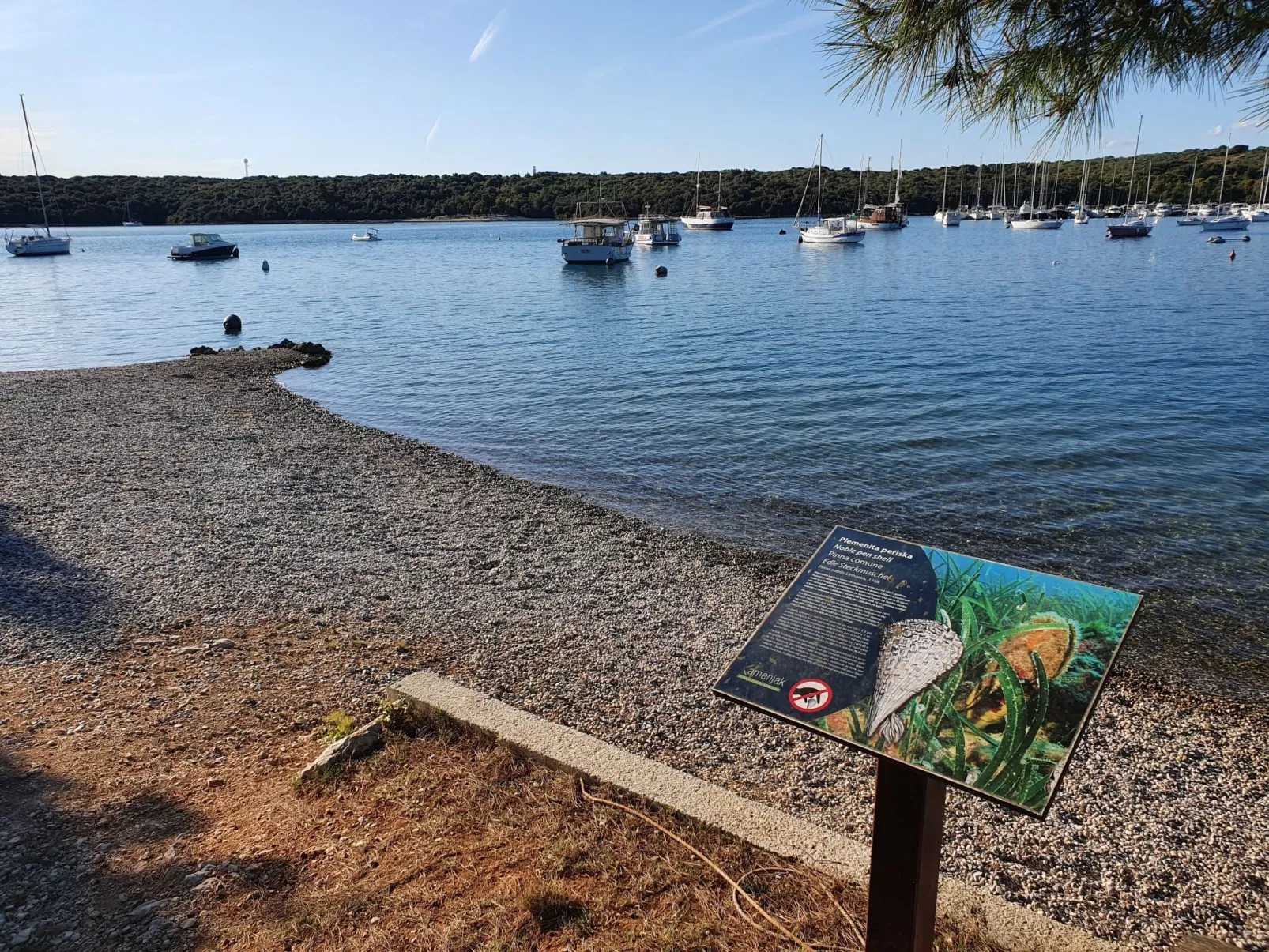 In Banjole mit Terrasse und Garten