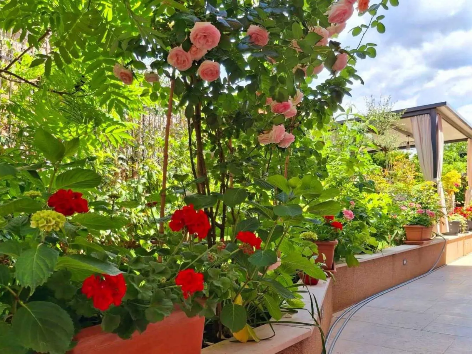 Schöne Wohnung Funtana Nr.3