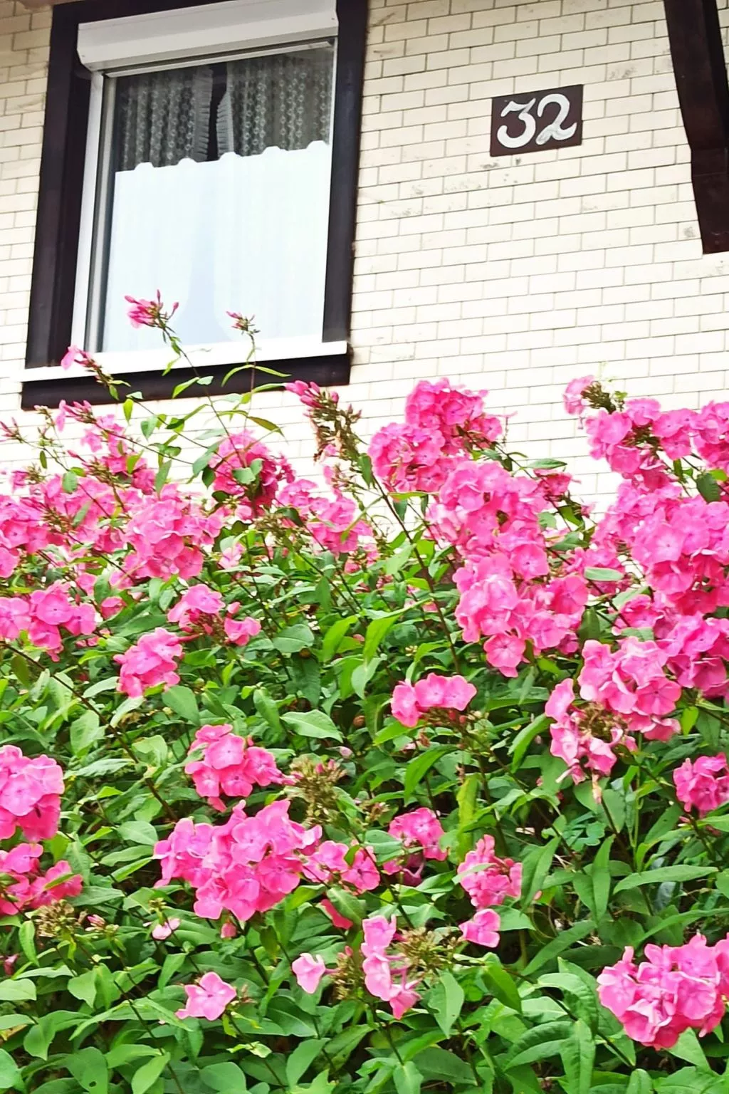 Gästehaus a Feldberg-Buiten
