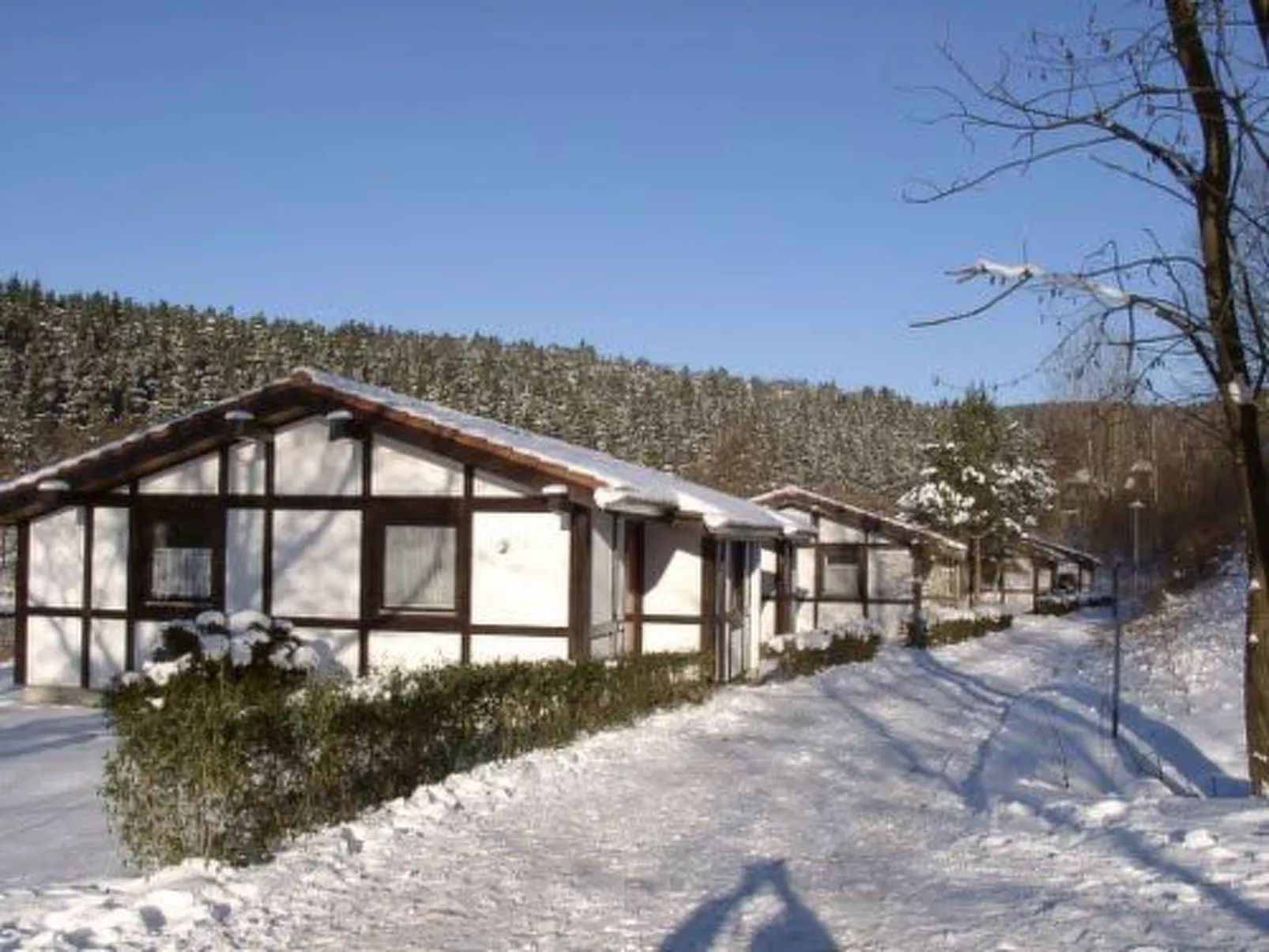 Scout 42-Image-tags.info