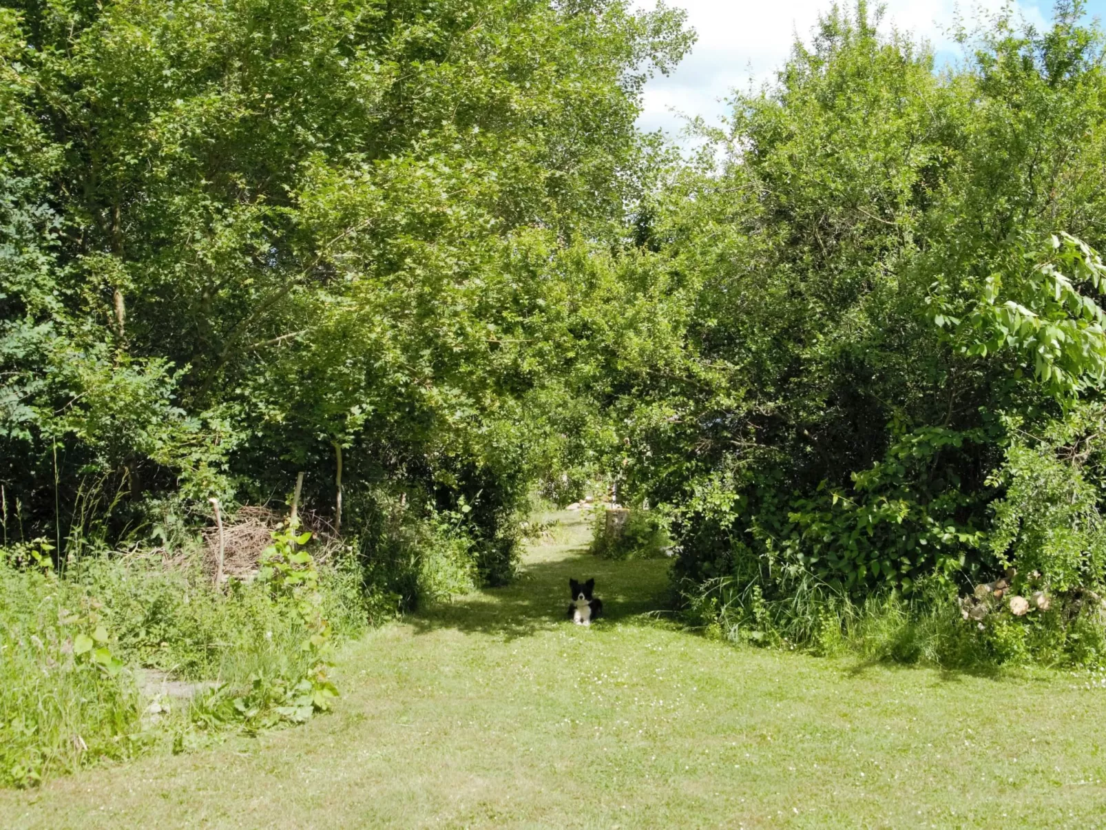 Idyllisches Reetdachhaus mit großem Garten