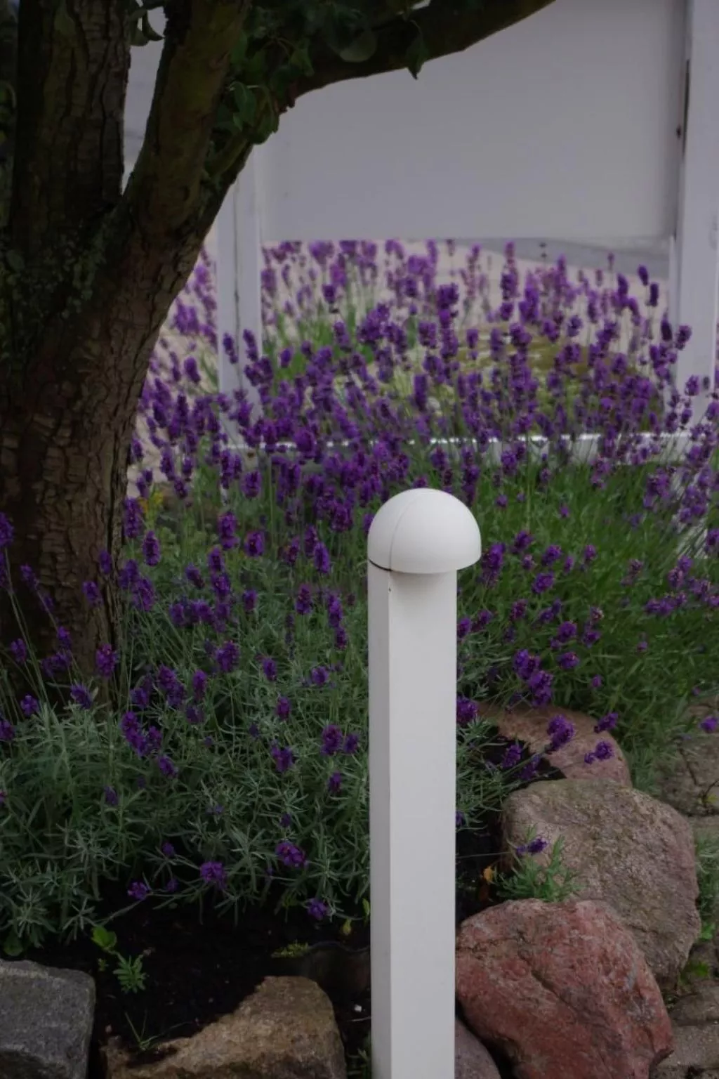 Gästehaus Kopp Wohnung Nr. 03 in Cuxhaven-Duhnen