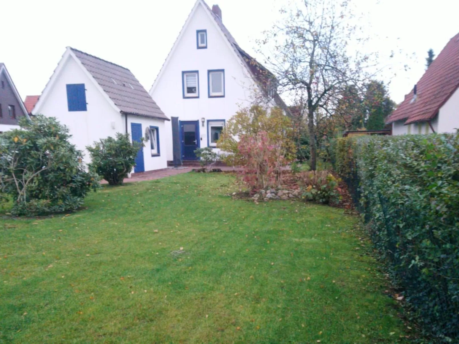 Erholung pur: Nordsee-Urlaub mit Hund