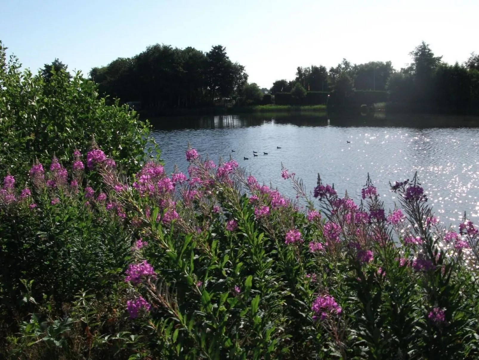 Haus am Kiessee - Mediterranes Flair mit Seeblick-Image-tags.info